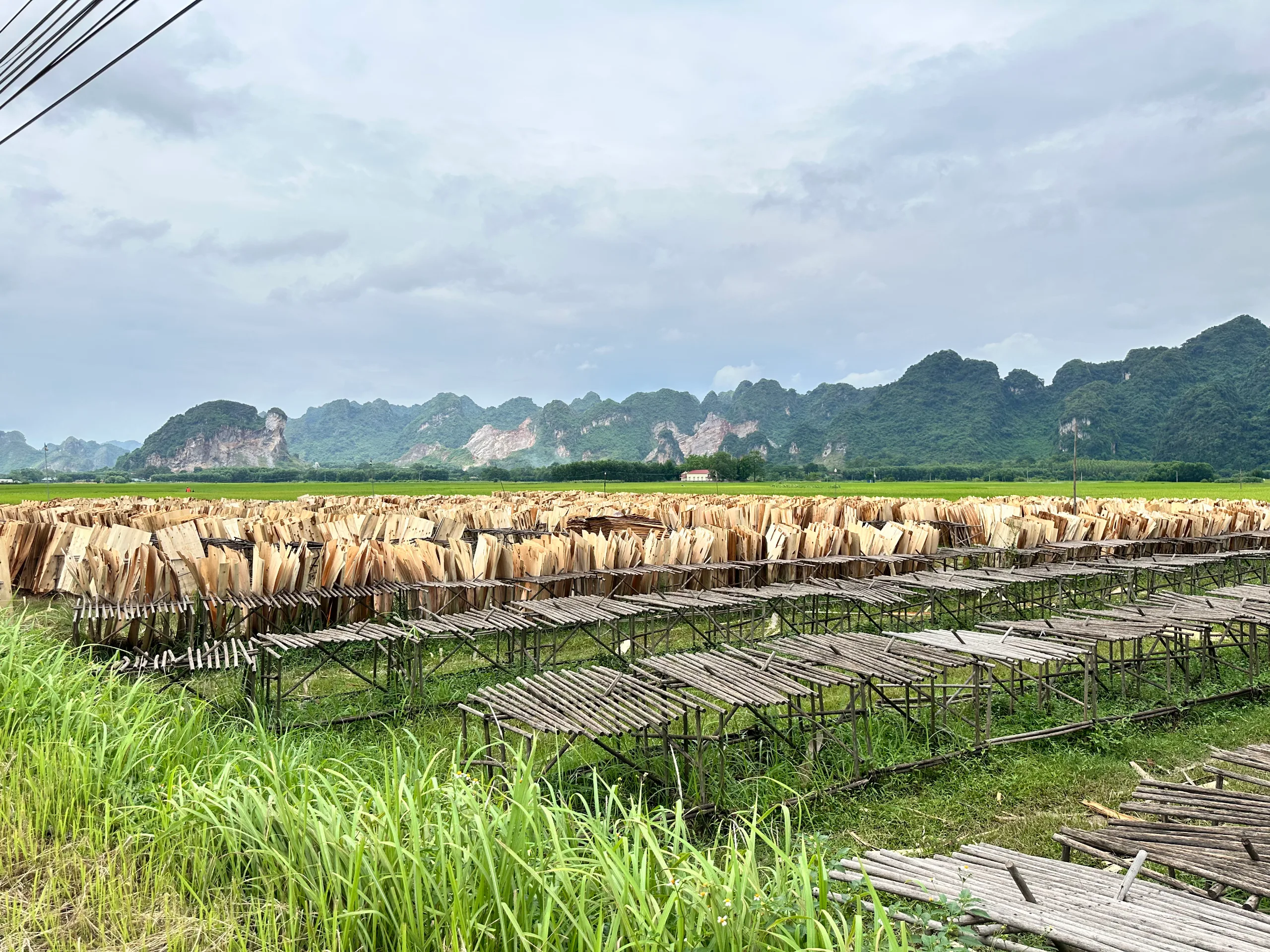 gallery ảnh